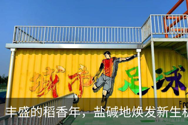 丰盛的稻香年，盐碱地焕发新生机