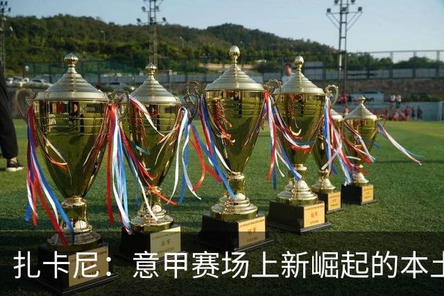 扎卡尼：意甲赛场上新崛起的本土双料先锋